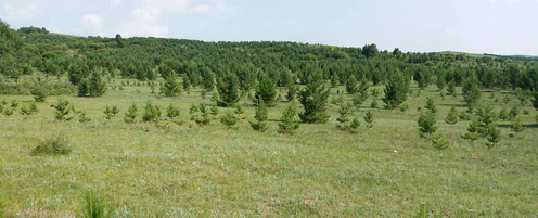 仟億達集團與國營御道口牧場達成造林碳匯項目合作 仟億達集團與國營御道口牧場達成造林碳匯項目合作