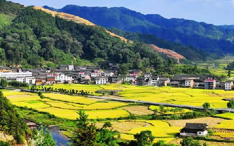 祝賀仟億達集團與錦屏縣就林業碳匯項目達成合作 祝賀仟億達集團與錦屏縣就林業碳匯項目達成合作