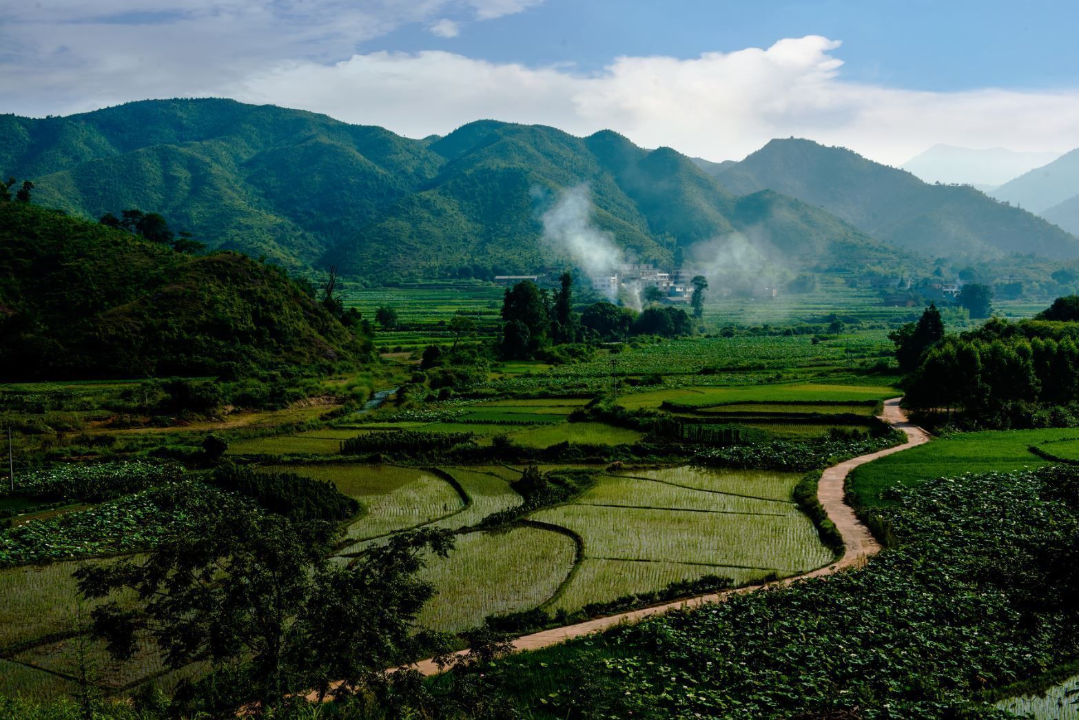 仟億達億碳與江西鎮石城縣達成林業碳匯項目合作 仟億達億碳與江西鎮石城縣達成林業碳匯項目合作